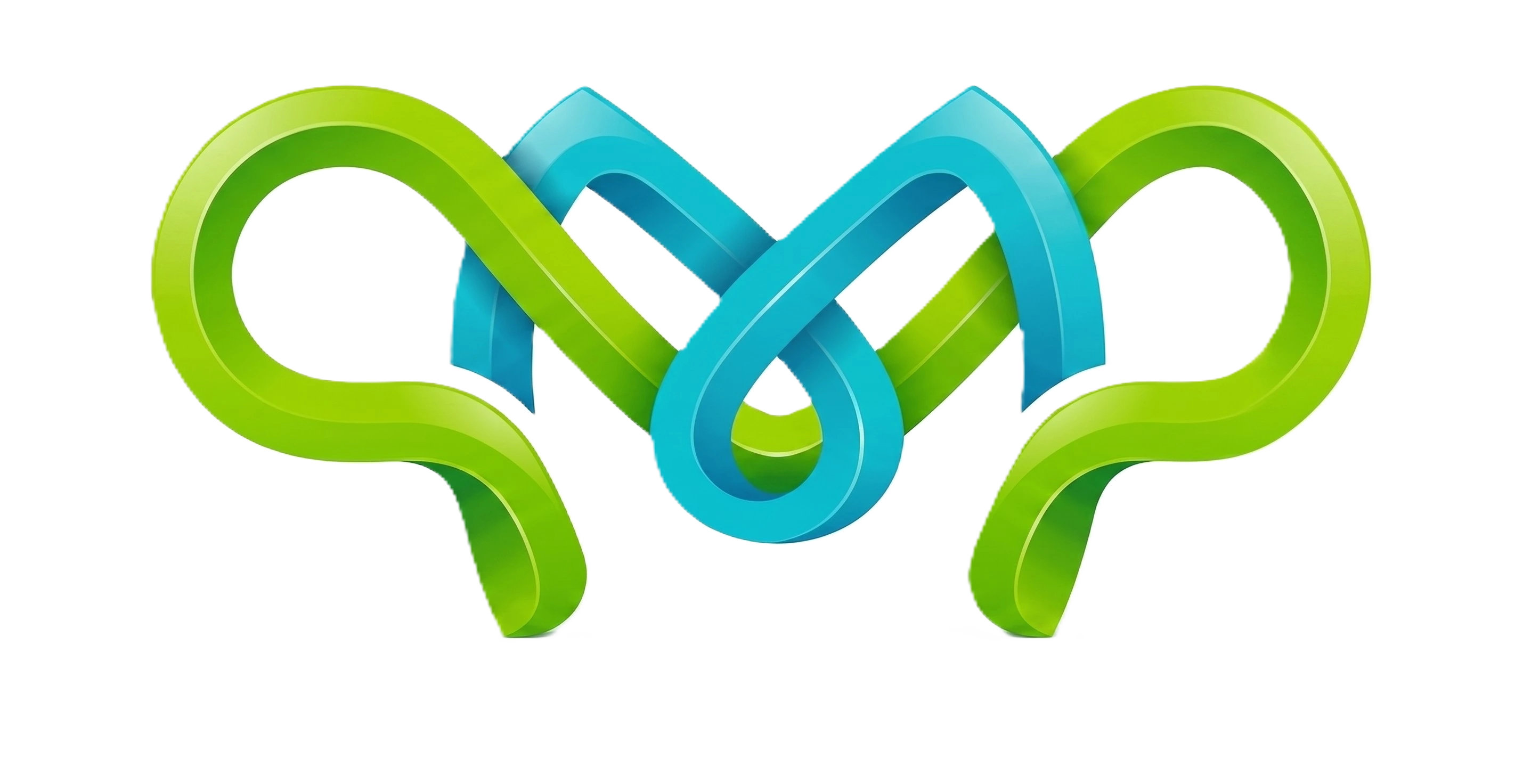 Plazamedis PMMP Logo